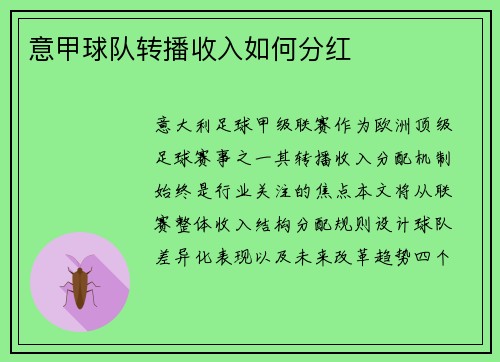 意甲球队转播收入如何分红