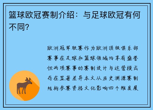 篮球欧冠赛制介绍：与足球欧冠有何不同？